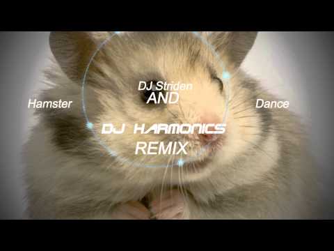 The Hampster Dance - (DJ Harmonics & DJ Striden Remix)