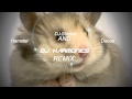 The Hampster Dance - (DJ Harmonics & DJ Striden Remix)