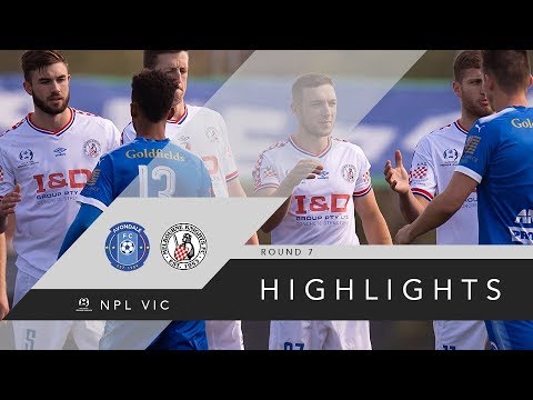 NPL R7 - Avondale FC vs Melbourne Knights FC