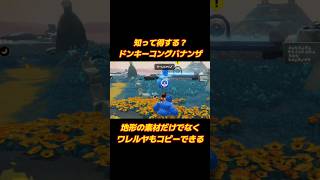 【ドンキーコングバナンザ】知って得する？テクニック【ワレルヤの民】