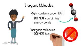 Organic vs  Inorganic