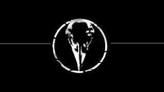 DIE TRYING /// HAWK EYES (AUDIO)