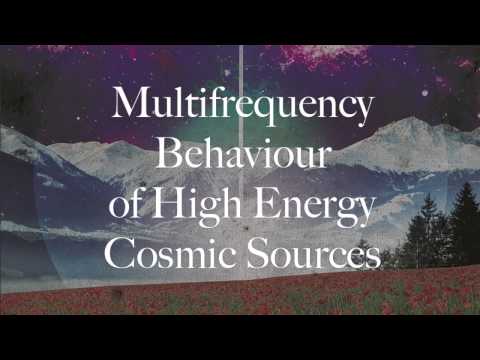 Commodity Place - Multifrequency Behaviour of High Energy Cosmic Sources [ ELE-R005 ]