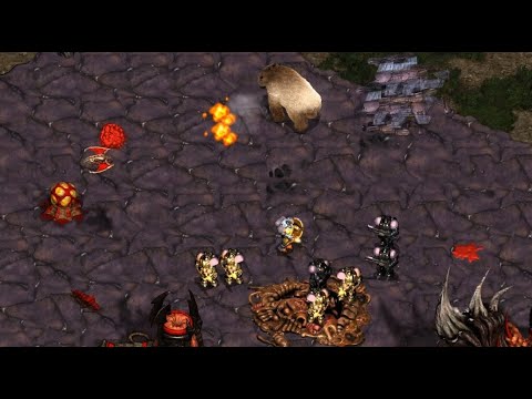 TWO PORT WRAITH! Leta 🇰🇷 (T) v Killer (Z) on Polypoid - StarCraft - Brood War 2020