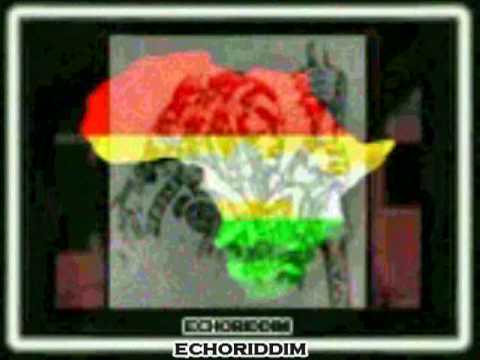 BUSH CHEMISTS MEETS JOHAN DAN - warrior dub - ( ukdub)