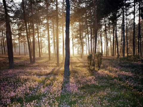 Marascia - The Mood [Original Mix]