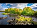 David Tanenbaum (Guitar) - Otoño Porteño (Buenos Aires Autumn)