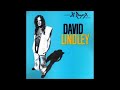 David Lindley   She Took Off My Romeos with Lyrics in Description