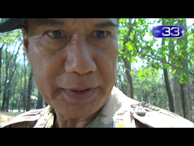 Teaser : เขี้ยวราชสีห์