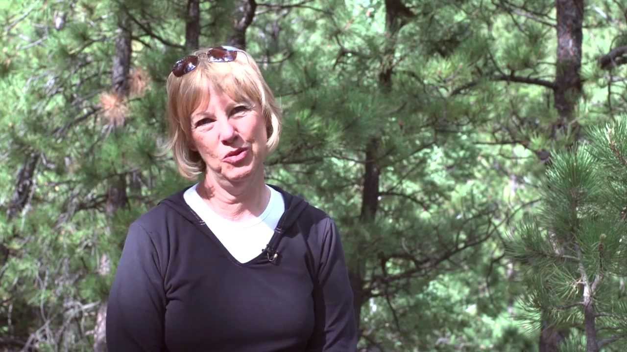 Inside Boulder News - June 7, 2013