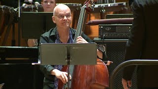 Ջազ կոնտրաբասահար Լարս Դանիելսոնը «Երևան Ջազֆեստ»-ի հյուրն էր