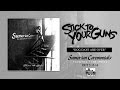 STICK TO YOUR GUNS - Dog Days Are Over ...