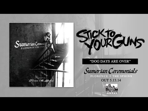 STICK TO YOUR GUNS - Dog Days Are Over