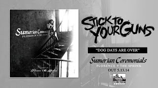 STICK TO YOUR GUNS - Dog Days Are Over