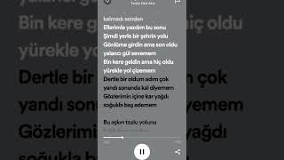 Feride Hilal Akın ~ Şehrin Yolu speed up #shorts