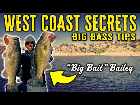 🏆 Trophy BASS Fishing Secret Tips - California Dreamin' w/ Paul "Big Bait" Bailey