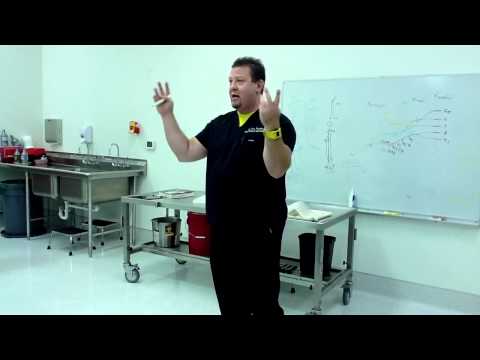 An easy way to remember arm muscles PART 2