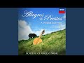 Vivaldi: 12 Violin Concertos, Op. 4 - "La stravaganza" - Concerto No. 1 in B flat major, RV...