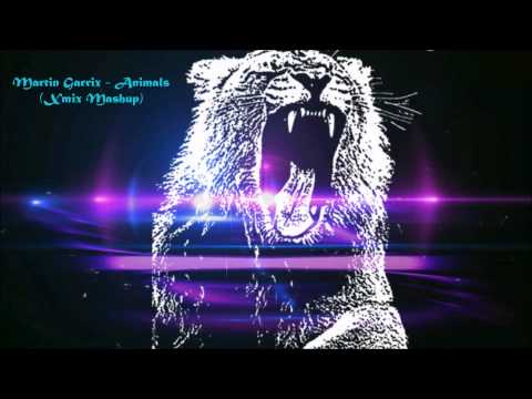 Martin Garrix - Animals (Xmix Mashup)