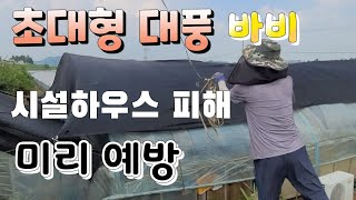 이번에는 태풍  바비 !!  시설하우스 피해 최소화 하려면, 목요일 최대 고비