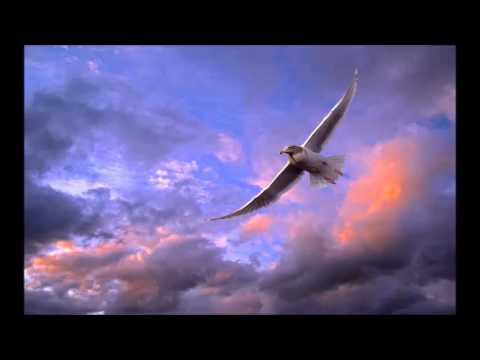 Touching the sky soundtrack music by Dejan Vizant