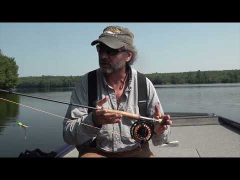 Bass Fishing Tip 1 surface fishing - Poppers