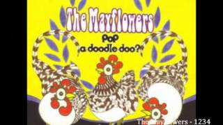 The Mayflowers-1234 -Pop-a-doodle-doo?