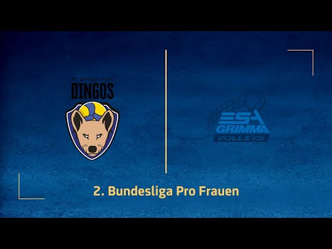 TV Dingolfing – ESA Grimma Volleys (2. Volleyball Bundesliga Pro F 25/26)