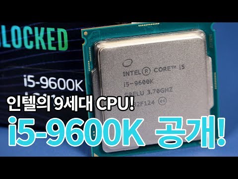 ���� �ھ�i5-9���� 9600K (Ŀ�Ƿ���ũ-R)