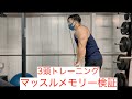 マッスルメモリー検証 三頭筋トレーニング