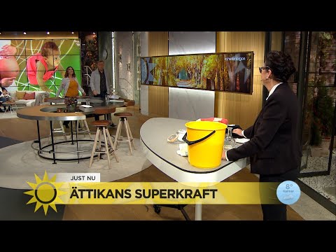 Marlene visar upp ättikans superkraft - Nyhetsmorgon (TV4)
