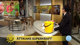 Marlene visar upp ättikans superkraft - Nyhetsmorgon (TV4)