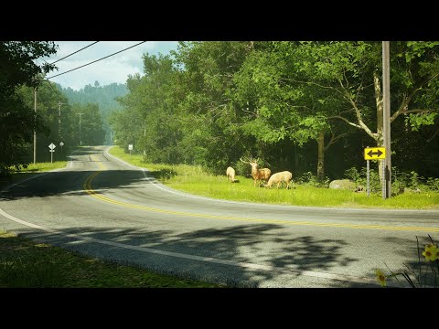 Announcement Trailer