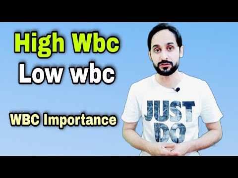 WBC count and its importance