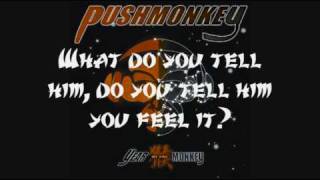 Pushmonkey-Lie to me lyrics