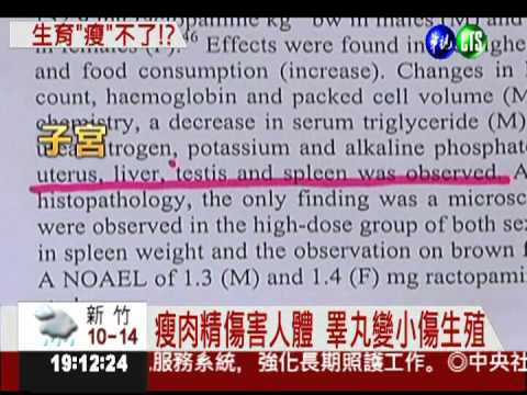 瘦肉精害睪丸變小 嚴重傷害腦部