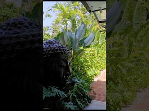 Vídeo: Casa em Condomínio Reserva Itanhangá em Itanhangá