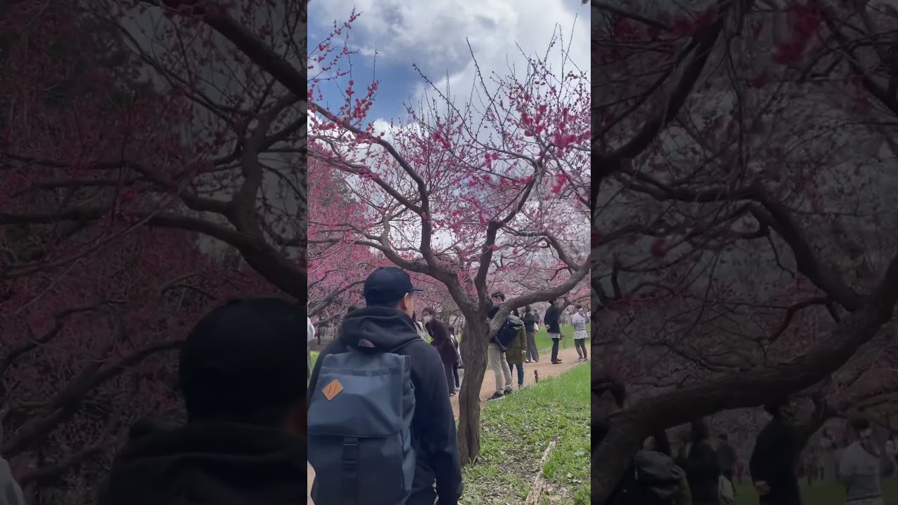 YouTube Short thumbnail