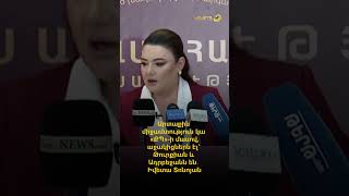 Արտաքին միջամտություն կա բացառապես «ՔՊ»-ի մասով, աջակիցները Թուրքիան և Ադրբեջանն են․ Իվետա Տոնոյան