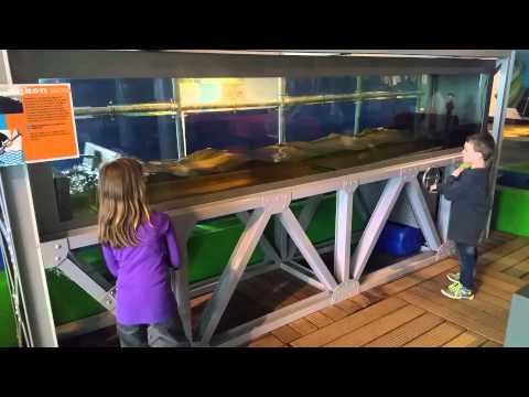 Nieuwland museum maart 2016 2 golven maken