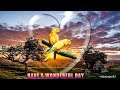 Good Morning Video