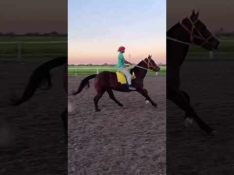 #TurfTotal #spc #entrerios #lapaz #hipodromo #floreo #galopando #galope #tendencia #vareo