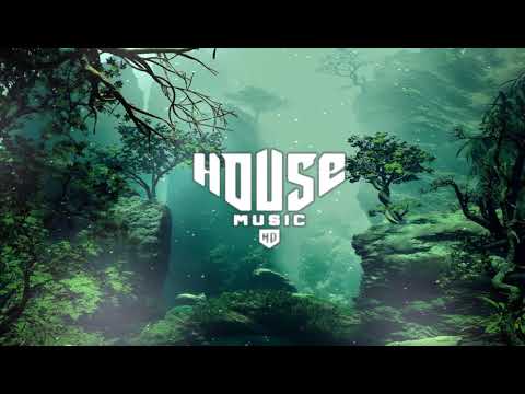 BURGOS x BEARDED LEGEND - where do we go?