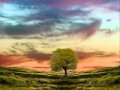 Pink Floyd - Comfortably numb - Lyrics *With .mp3 ...