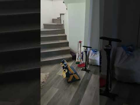 17 Hamblin Road, Waltham