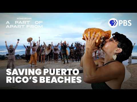 Why Puerto Rican Activists are Fighting to Protect the Coastline | PBS