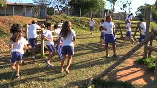 D-19: Didática da Educação Física