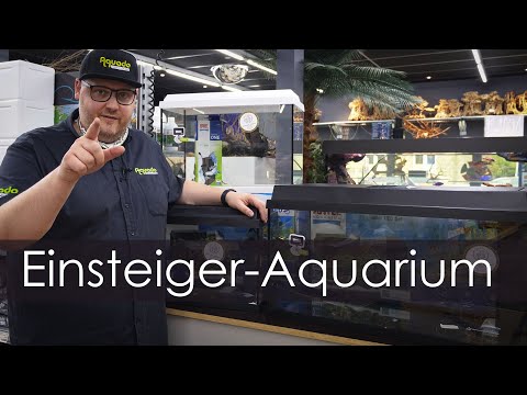 Günstiges Aquarium für Einsteiger - Tipps und Tricks für das Juwel Primo | Aquado-Zoo Dortmund