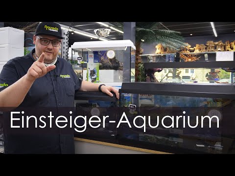 Affordable aquarium for beginners - tips and tricks for the Juwel Primo | Aquado-Zoo Dortmund