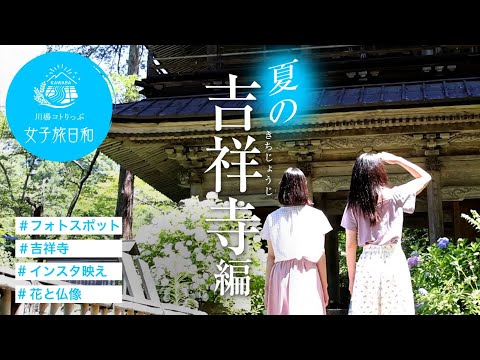 川場村　彩りの花寺［夏の吉祥寺編］